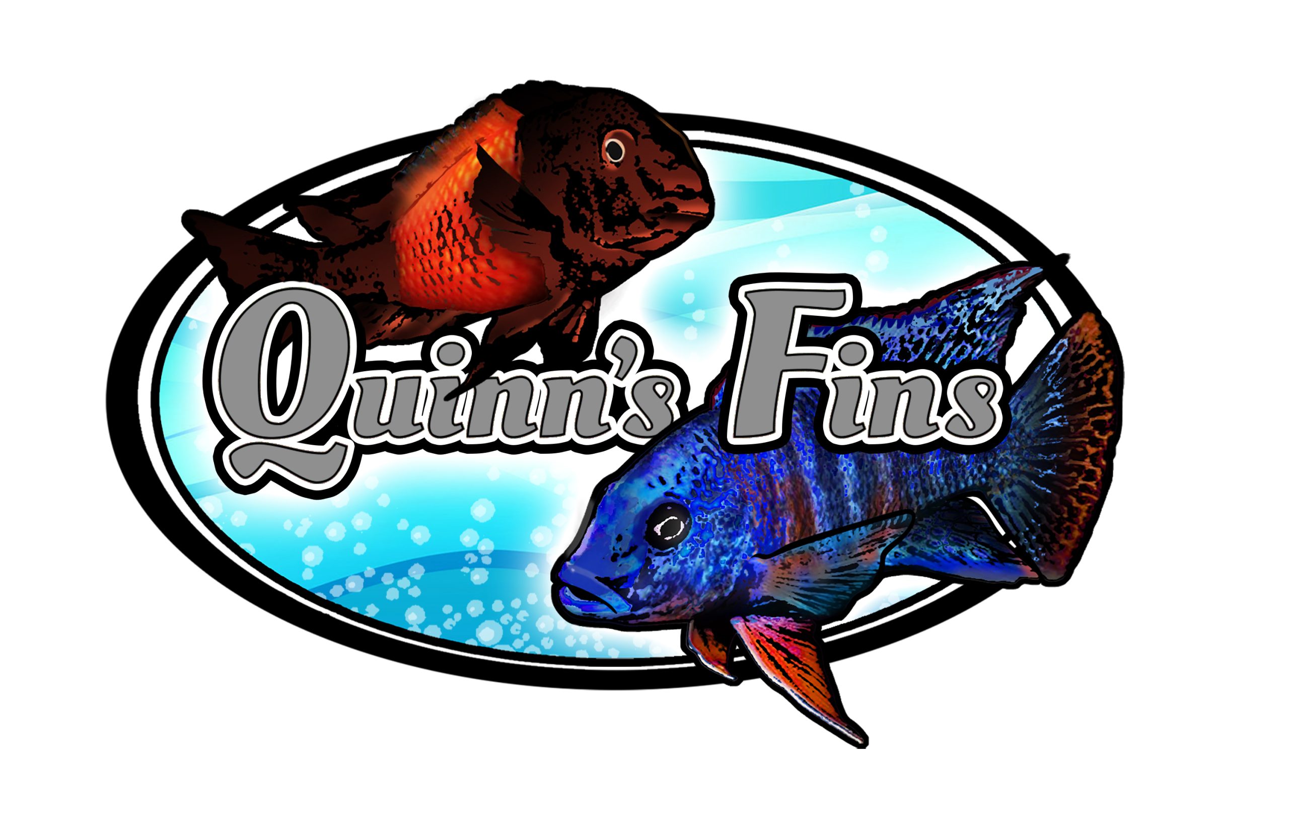 Quinns Fins Voucher Codes And Offers 25 OFF, And More July 2024